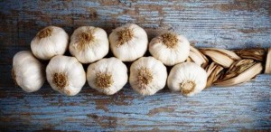 Чесночная настойка для чистки сосудов: тибетский рецепт и способ применения