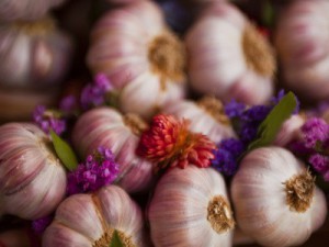 Полезные свойства чеснока для мужчин