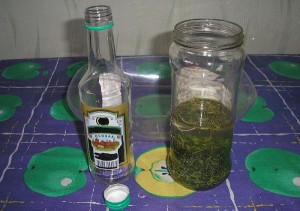 Как пить настойку чистотела?