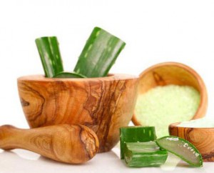 Настойка из алоэ