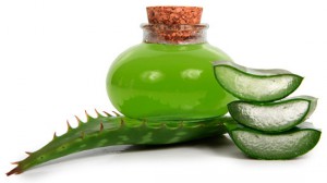 Чем полезен алоэ?