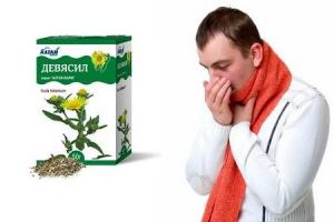 корень девясила применение в народной медицине