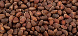 Полезные свойства кедровых орехов для организма