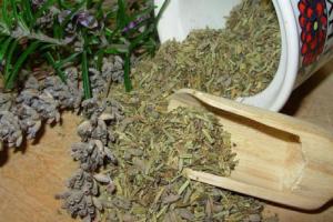 пустырник лечебные свойства и противопоказания для мужчин