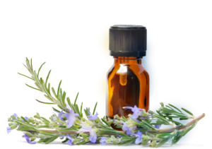 розмарин эфирное масло лечебные свойства и противопоказания