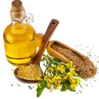 горчичное масло польза и вред как принимать