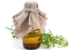 трава пастушья сумка лечебные свойства и противопоказания