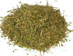 пастушья сумка лечебные свойства в гинекологии