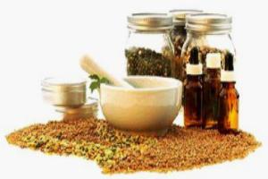 трава манжетка лечебные свойства