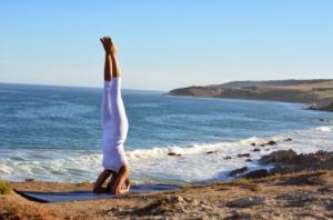 хатха йога для начинающих асаны