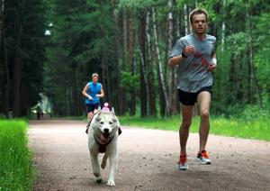 польза бега для мужчин и потенции