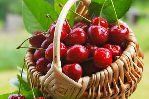 черешня полезные свойства и вред