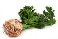 любисток и сельдерей одно и тоже