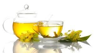 лист эвкалипта его лечебные свойства