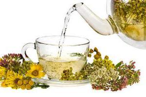 грушанка круглолистная применение