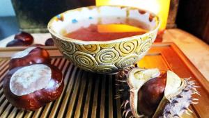 конский каштан лечебные свойства настойка