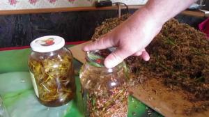 конский каштан отвар