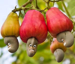 польза кешью для организма