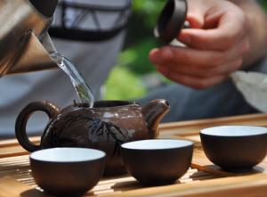 курильский чай кустарниковый полезные свойства