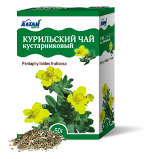 курильский чай лечебные свойства