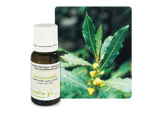 свойства отваров лаврового листа