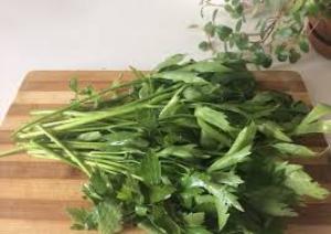 листья любистока