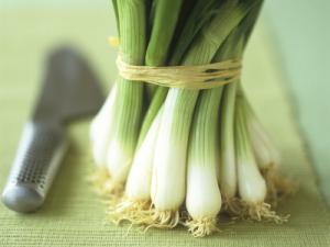 лук порей польза и вред для здоровья