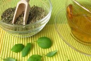 майоран приправа применение в кулинарии