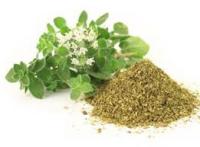 майоран что это такое