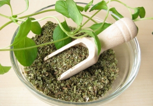 майоран лечебные свойства и противопоказания