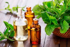 как выглядит майоран