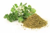 полезные свойства и противопоказания майорана