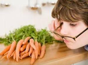 морковь польза и вред для здоровья