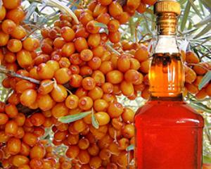 масло облепихи свойства и применение