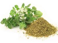 приправа орегано