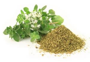 орегано лечебные свойства и противопоказания