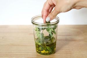 орегано приправа применение