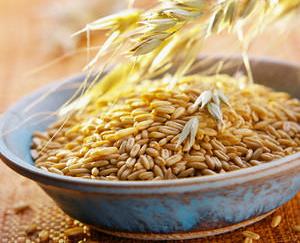 овсяная каша геркулес польза и вред