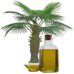 пальмовое масло вред для организма