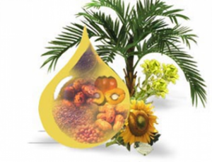 вред пальмового масла для здоровья человека