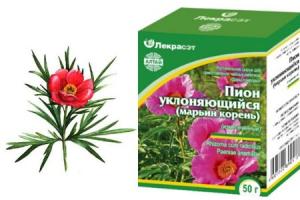 марьин корень лечебные свойства для мужчин