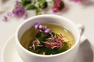 марьин корень лечебные настой для женщин