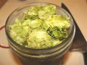 шишки хмелю волос