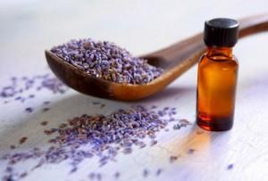 лечение цветками сирени