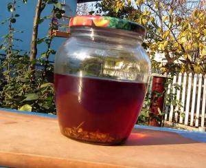 лечение сиренью что можно лечить