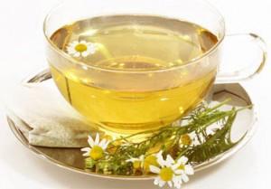 трава золототысячника свойства