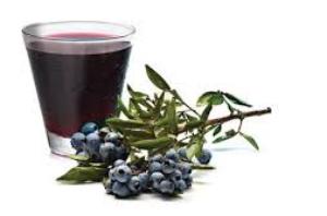 чай из черники польза и вред