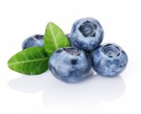 голубика полезные свойства и противопоказания