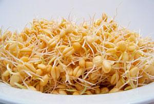 пророщенная пшеница польза как принимать