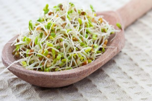 пророщенная пшеница польза